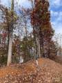 V/L Lot 72 & 170 Black Lark Drive - Photo 11
