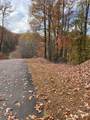 V/L Lot 72 & 170 Black Lark Drive - Photo 12