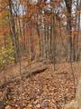 V/L Lot 72 & 170 Black Lark Drive - Photo 13