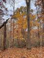 V/L Lot 72 & 170 Black Lark Drive - Photo 15