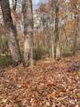 V/L Lot 72 & 170 Black Lark Drive - Photo 17