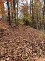 V/L Lot 72 & 170 Black Lark Drive - Photo 18