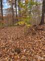 V/L Lot 72 & 170 Black Lark Drive - Photo 21