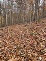V/L Lot 72 & 170 Black Lark Drive - Photo 29