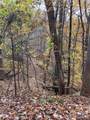 V/L Lot 72 & 170 Black Lark Drive - Photo 30