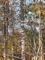 V/L Lot 72 & 170 Black Lark Drive - Photo 33