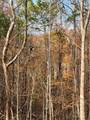 V/L Lot 72 & 170 Black Lark Drive - Photo 35