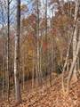 V/L Lot 72 & 170 Black Lark Drive - Photo 8
