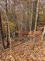 V/L Lot 72 & 170 Black Lark Drive - Photo 9