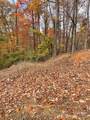 V/L Lot 72 & 170 Black Lark Drive - Photo 10