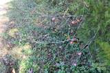 0 Third Creek Road - Photo 31