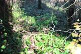 0 Third Creek Road - Photo 35