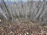 Lot 7 Deer Ridge Road - Photo 4