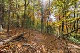Lot 24 Ben Miller Road - Photo 11