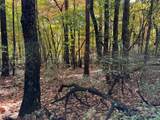 TBD Wolf Pen Road - Photo 2