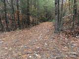 TBD Wolf Pen Road - Photo 10