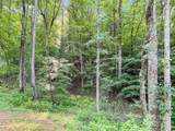 9.99 Acres Boone Gap Lane - Photo 14
