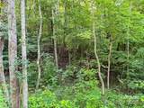 9.99 Acres Boone Gap Lane - Photo 15