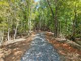 9.99 Acres Boone Gap Lane - Photo 7