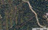 TBD Casey Mountain Road - Photo 9