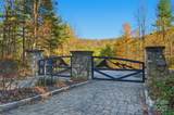 Lot 75 Peppervine Circle - Photo 28
