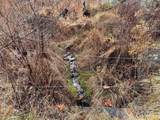 385 Fork Mountain Road - Photo 21