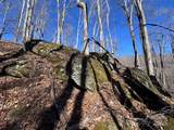 15 +/- Acres Riddle Branch Road - Photo 12