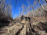 15 +/- Acres Riddle Branch Road - Photo 15