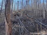 15 +/- Acres Riddle Branch Road - Photo 19