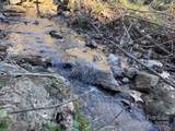 15 +/- Acres Riddle Branch Road - Photo 3