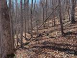 15 +/- Acres Riddle Branch Road - Photo 23