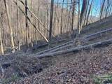 15 +/- Acres Riddle Branch Road - Photo 24