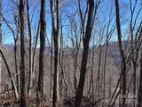 15 +/- Acres Riddle Branch Road - Photo 25