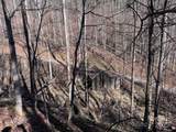 15 +/- Acres Riddle Branch Road - Photo 27