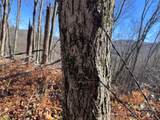 15 +/- Acres Riddle Branch Road - Photo 28