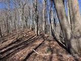 15 +/- Acres Riddle Branch Road - Photo 29