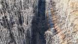 15 +/- Acres Riddle Branch Road - Photo 31