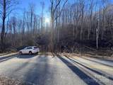 15 +/- Acres Riddle Branch Road - Photo 32