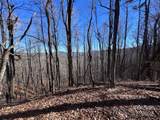 15 +/- Acres Riddle Branch Road - Photo 34