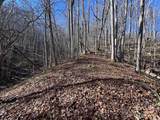 15 +/- Acres Riddle Branch Road - Photo 8