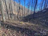 15 +/- Acres Riddle Branch Road - Photo 9