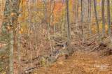 0 Pebble Ridge Road - Photo 18