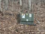 50 Scenic Wolf Ridge Road - Photo 18