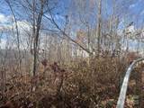 50 Scenic Wolf Ridge Road - Photo 3