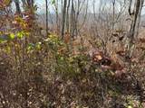 50 Scenic Wolf Ridge Road - Photo 5