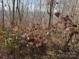 50 Scenic Wolf Ridge Road - Photo 7