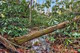 172 Crimson Drive - Photo 23