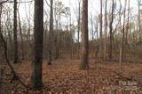 14.5+/-AC Pioneer Road - Photo 12