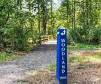 5107 Mint Harbor Way - Photo 25