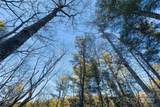 LOT #84 Little Fox Run - Photo 16
